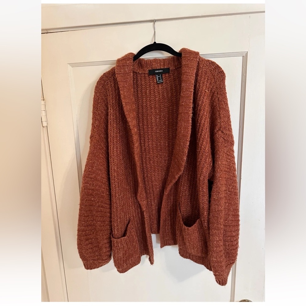 Forever 21 Burnt Orange Knit Sweater